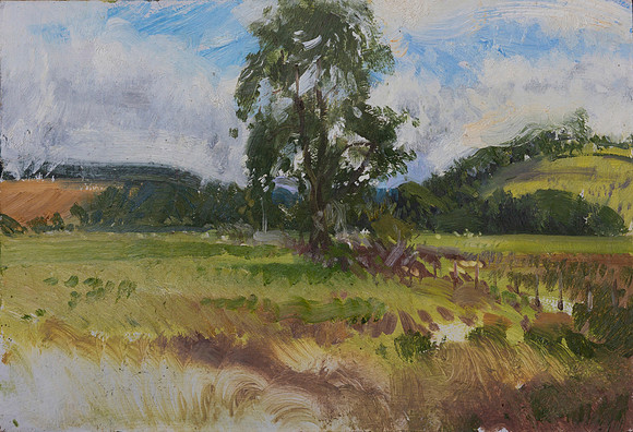 14.Tree at the Strother, Nunwick