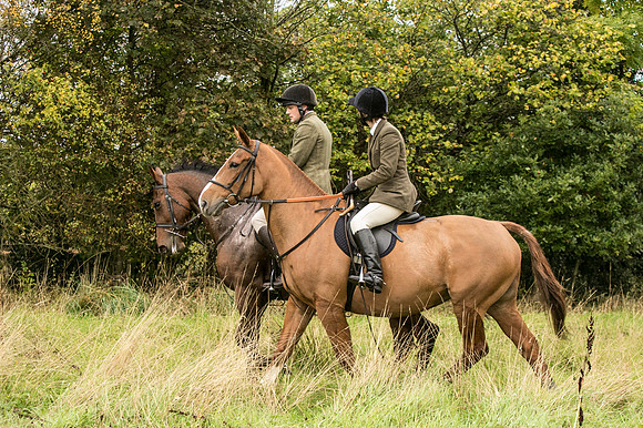 Thornton Moor024