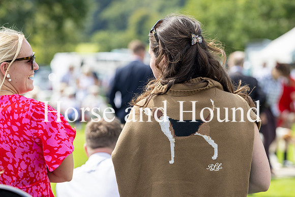 0031Perfect jumper for a Rydale Hound Show