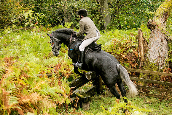 Thornton Moor054