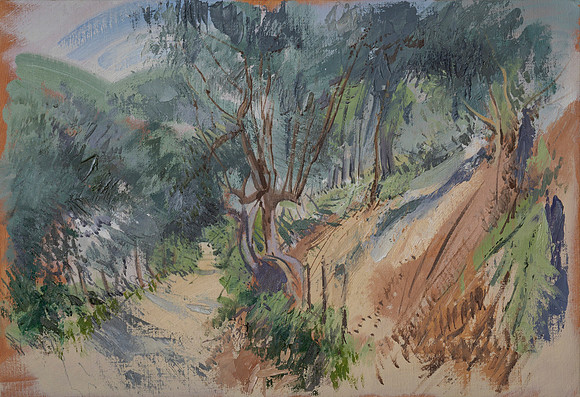 67.A woodland path in Majorca