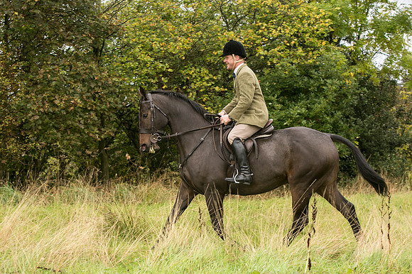 Thornton Moor030