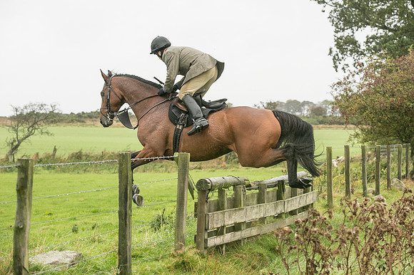 Thornton Moor121