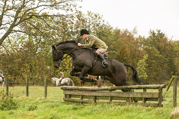 Thornton Moor137