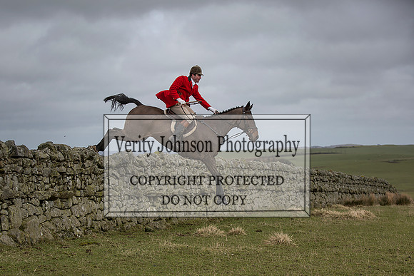 Verity Johnson 0019
