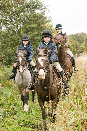 Thornton Moor036