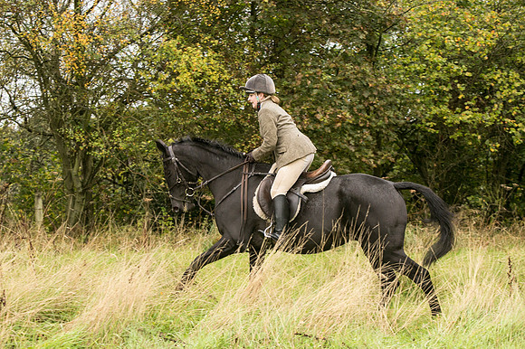 Thornton Moor029