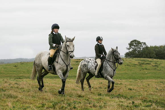 Thornton Moor090