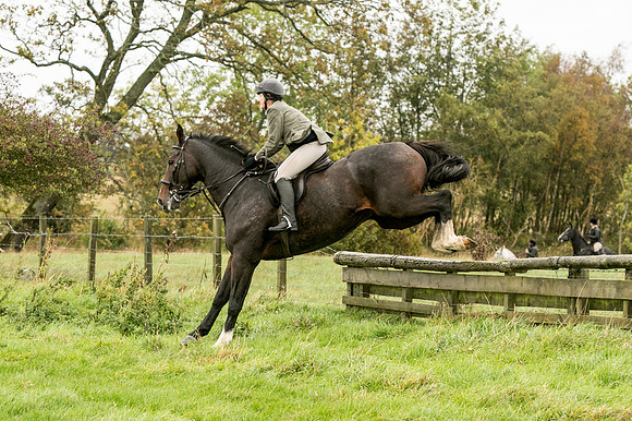 Thornton Moor134