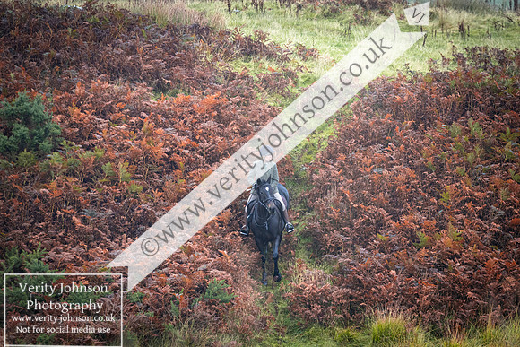 West Belsay0032