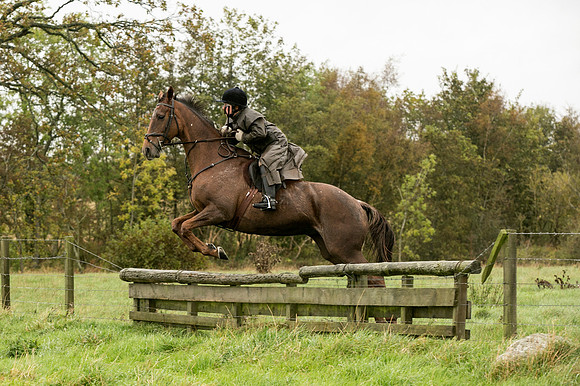 Thornton Moor123