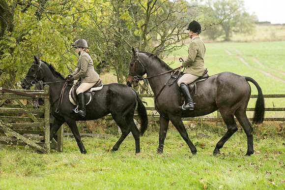 Thornton Moor023