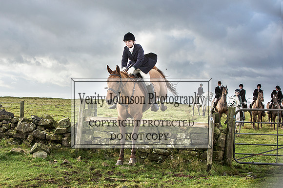 Verity Johnson 0021