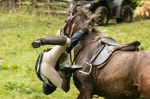 Thornton Moor047