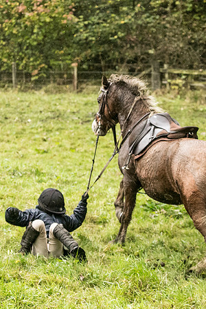 Thornton Moor049