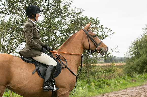 Thornton Moor104