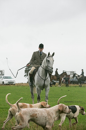 Thornton Moor005