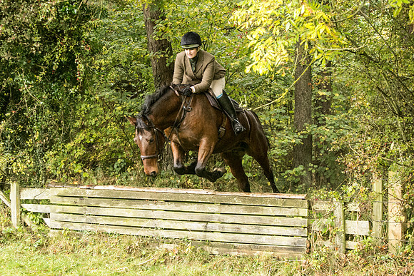 Thornton Moor040