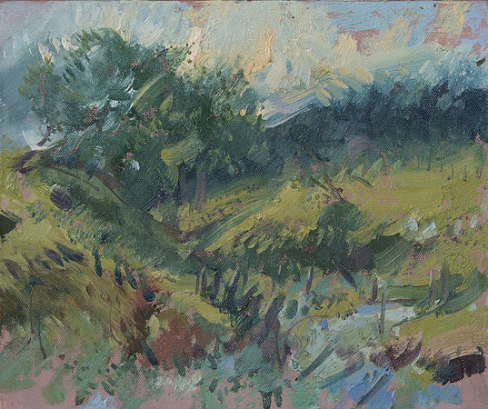 6.Coal Burn near Woodhall, Barrasford