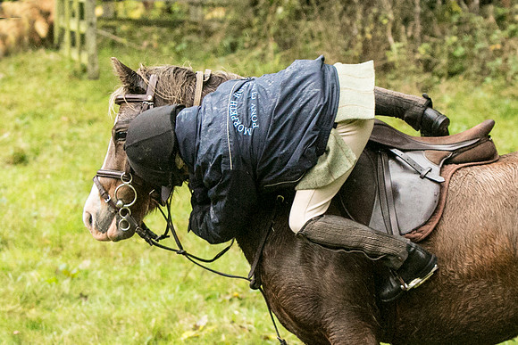Thornton Moor045