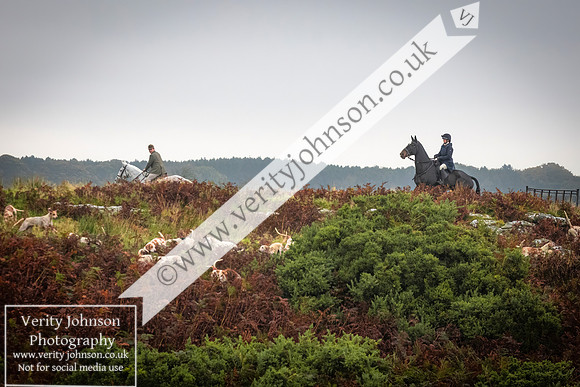 West Belsay0035