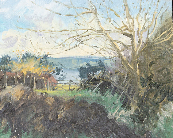 46.Hallington Reservoir from Fawcett