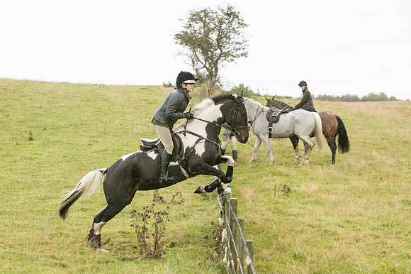Thornton Moor096