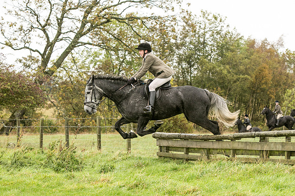 Thornton Moor135