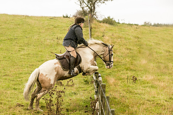 Thornton Moor099