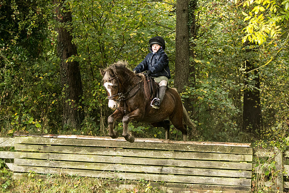 Thornton Moor042