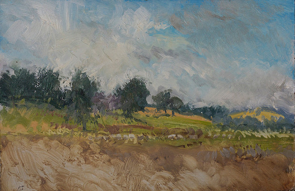 41.View of Haughton Strother Farm