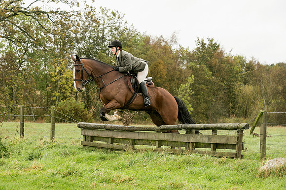 Thornton Moor141