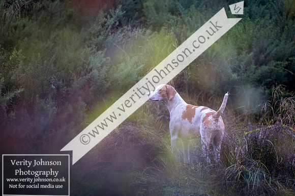 West Belsay0031