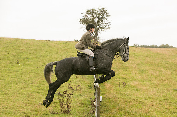 Thornton Moor094
