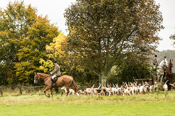 Thornton Moor001