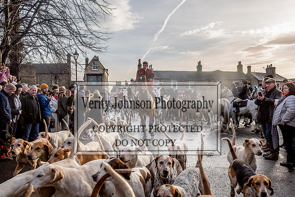 Verity Johnson 0018